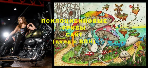 твердый Каменногорск