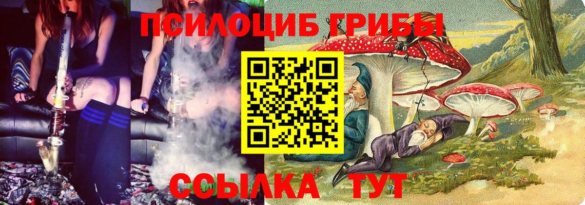 Нижний Новгород  наркота  Вход с VPN  Галлюциногенные грибы Magic Shrooms 